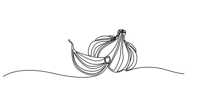 Animated self drawing of Continuous Line Drawing Of Garlic & Parsley On A Transparent background, Abstract garlic head and clove, continuous single one line art hand drawing sketch logo, Continuous on