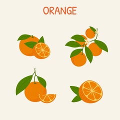 Orange Fruit Collection with Leaves and Slices &ndash; Citrus Vector Set