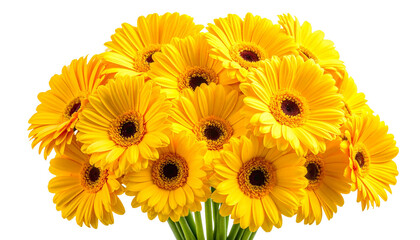 Strahlender Gelbton von frischen Gerbera-Bl&uuml;ten zu einem kleinen Bouquet arrangiert, freigestellt auf transparentem Hintergrund im PNG-Format