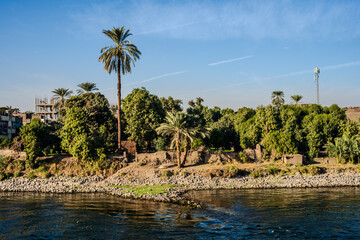 Palm trees and village buildings along the Nile River bank