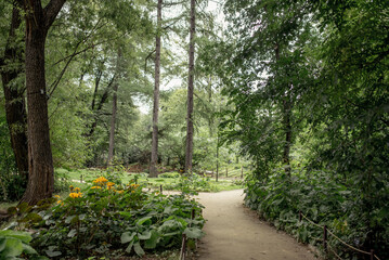 Fototapeta premium Aptekarsky ogorod, Moscow, Russia, August 10 2019: A tranquil path through lush greenery, inviting visitors to explore the serene beauty of the garden