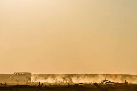 Silhouette of two jackals walking through a dusty, rocky desert landscape during a vibrant orange sunset in the African wilderness.