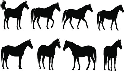 Black horse silhouettes in various poses on white background equine © MdAbdulHamad