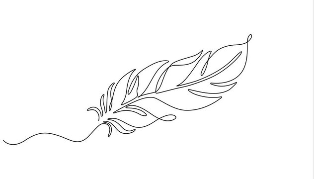 Self animated minimalist continuous one line drawing featuring a single feather. Full length one line drawing animation