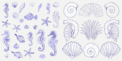 Delicate blue sketches of seashells seahorses starfish and marine life © Dibyendu