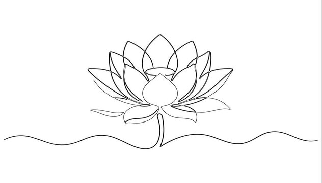 Animated self drawing of  Lotus flower continuous one line drawing. Wellness concept in simple linear style. Vector illustration, Single line, continuous, lotus flower line , Animated, motion, video,