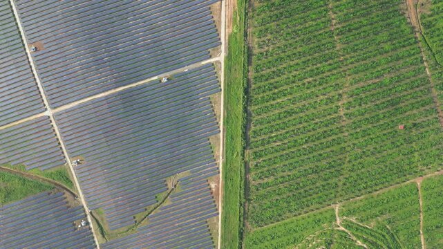 Sprawling solar farm seen from above