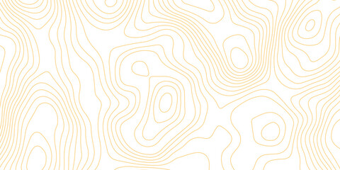 Topographic map background with geographic grid for hiking and mountain sport. luxury topographic wavy pattern and geographic grid map design. paper texture Imitation of a geographical map shades. © Abdur Rahman Safin 