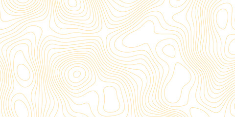 Topographic map background with geographic grid for hiking and mountain sport. luxury topographic wavy pattern and geographic grid map design. paper texture Imitation of a geographical map shades. © Abdur Rahman Safin 