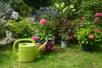 Garten 1576 © K.-U. Häßler