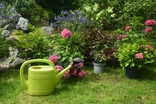 Garten 1576
