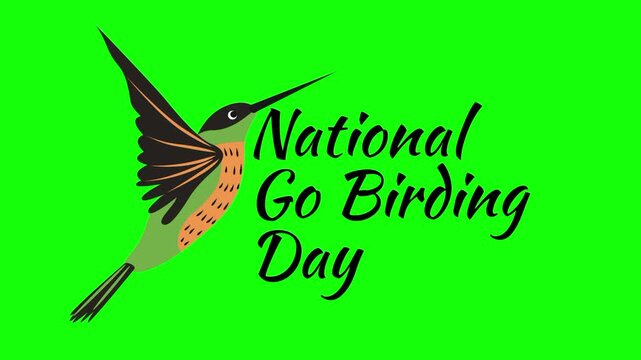 National Go Birding Day text animation concept with bird vector icon symbol popup. Animated word design, editable lettering motion graphic video template with green screen background