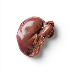 Obraz premium Rohe Niere isoliert auf hellem Hintergrund mit viel Copyspace. Konzept für Anatomie, Ernährung, Innereien, Organspende, Medizin und biologische Forschung.