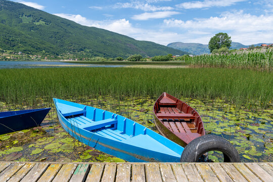 Wooden Boats on Lake Plav, Montenegro