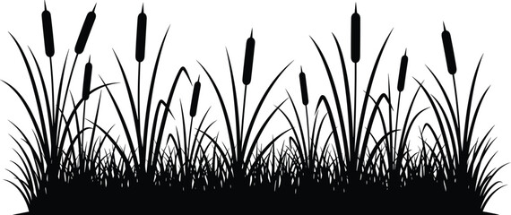 Cattail reeds and marsh grass silhouette border wetland aquatic plants nature vegetation isolated on white background botanical landscape vector illustration © Khademul