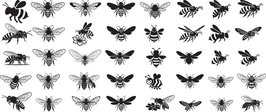 
Honey bee set. Set of  honey and bee labels for honey logo products. Honey bee silhouette collection vector illustration. Set of abstract modern graphic bees  on white background.
