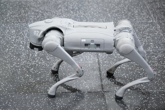Shanghai,China-March 15th 2026: Close-up side view of a grey Unitree Go2 quadruped robot dog
