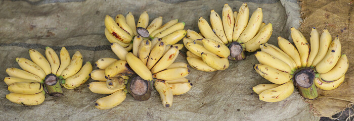 bunches of ripe yellow bananas arranged on a sack cloth at a traditional market © anwar
