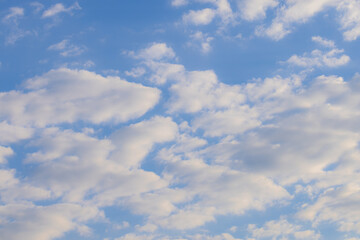 Fototapeta premium Beautiful Altocumulus Clouds on a Bright Blue Sky Background,A scenic view of soft, white altocumulus clouds scattered across a vibrant blue sky during the daytime. The rhythmic pattern of the clouds 