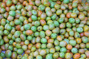 A large quantity of unripe green tomatoes piled high after being harvested from the farm