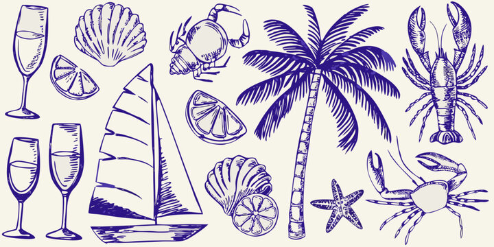 A collection of seaside elements champagne shells crabs and palms
