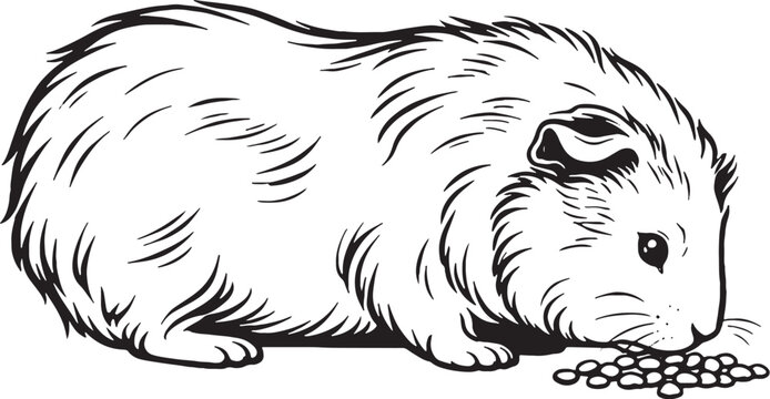 Guinea Pig Side Profile Feeding Pose Black and White Line Art Illustration