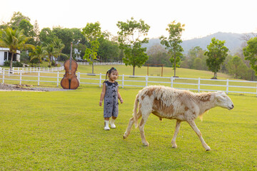Fototapeta premium Little girl walking with sheep in a beautiful green meadow at sunset,A cute Asian toddler girl in a grey dress and boots follows a sheep across a lush green field. The scene is set in a peaceful.