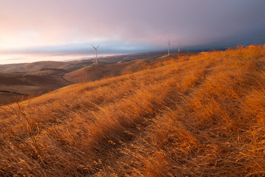 Altamont Wind Farm