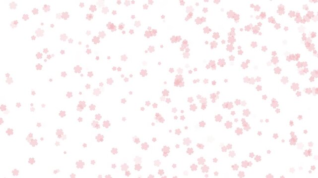 桜 小 下降 パターン01 桜色 ループ（白背景）
