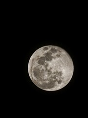 Fototapeta premium full moon in the night
