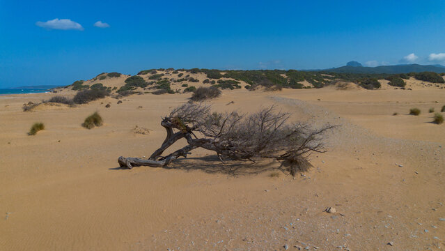 Vast golden dunes of Piscinas Arbus Sardinia wild Mediterranean nature