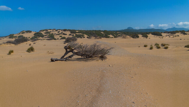 Vast golden dunes of Piscinas Arbus Sardinia wild Mediterranean nature