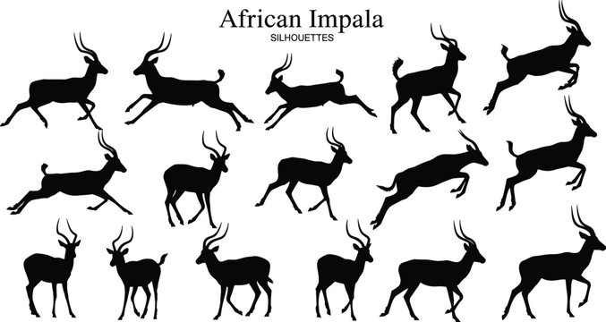 African impala silhouettes collection, antelope running and jumping wildlife poses set, savanna animal silhouettes isolated for African safari wildlife design