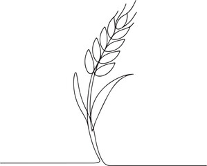 Fototapeta premium Wheat Plant Ear Grain Agricultural Crop Simple Line Drawing Vector Illustration