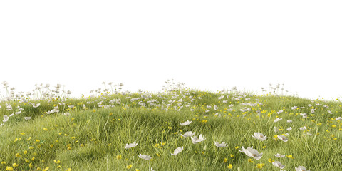 Fototapeta premium Hills with grass on a transparent background. 3D rendering 