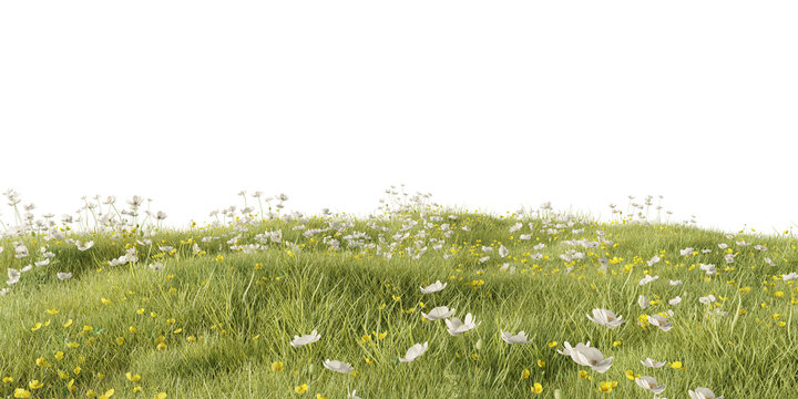 Hills with grass on a transparent background. 3D rendering	
