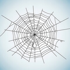 Obraz premium Spiderweb Illustration - A Detailed Depiction of a Classic Arachnid Structure.