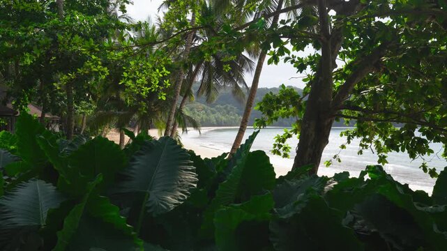 A secluded white sand bay and calm turquoise waters viewed through a frame of lush tropical foliage and palm trees on Pr&iacute;ncipe Island, S&atilde;o Tom&eacute; and Pr&iacute;ncipe.