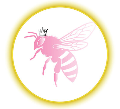 Pink Queen Bee Wearing Crown, Flying Inside Golden Circle, Flat Design Vector Illustration