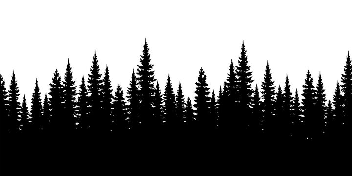 Silhouette of a pine tree forest landscape on transparent background.