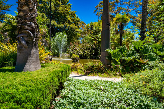 Williamstown botanic gardens, Melbourne, Australia, Victoria 12.28.2025 A walk in the park on a beautiful sunny day