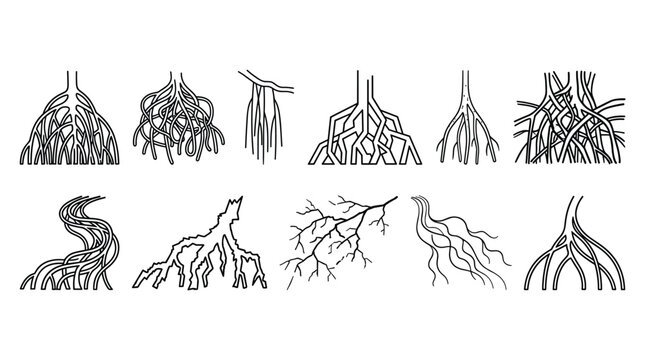 A set of ten diverse tree root system illustrations depicted in black and white line art on a plain background.