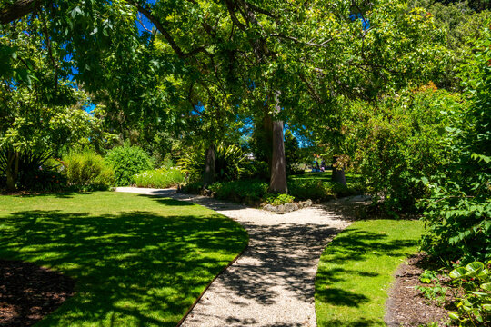 Williamstown botanic gardens, Melbourne, Australia, Victoria 12.28.2025 A walk in the park on a beautiful sunny day