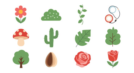 Fototapeta premium Colorful botanical icons and illustrations