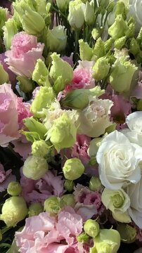 Bouquet of Lisianthus eustoma white and pink flowers, vertical video.