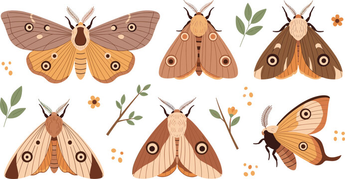 Vector illustration set of various moth species and butterflies in earthy tones with decorative wings forest botanical elements and twigs isolated on white background