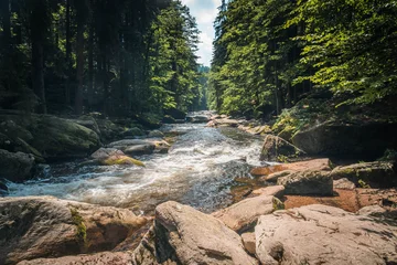 Fotobehang Bos rivier Clear mountain river Orlice flowing between large rocks and dense green forest in Orlicke Mountains, Czech Republic, illuminated by warm summer sunlight in a peaceful natural landscape.  © petrsvoboda91