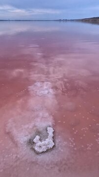 Kuyalnik Estuary (Kuyalnik Liman), floating pancakes of self-precipitated salt on the surface of hypersaline water; pink water colored by microalgae and brine shrimp Artemia salina