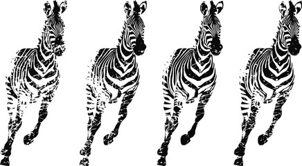 Fototapeta premium running zebras in black and white stripes, wild african animals in motion isolated on white background