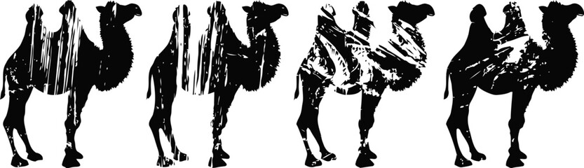 Fototapeta na wymiar Four black silhouette camels walking in a row facing right on a white background